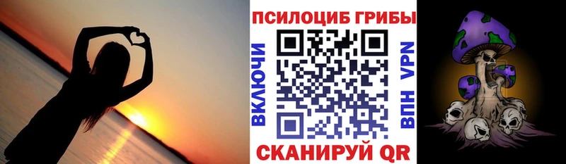 продажа наркотиков  Новотроицк  Галлюциногенные грибы Cubensis 